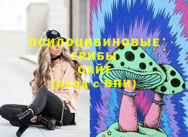 МДМА Карпинск